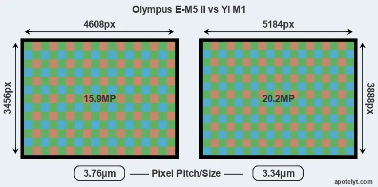 E-M5 II versus M1 MP