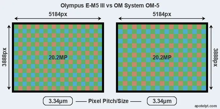 E-M5 III versus OM-5 MP