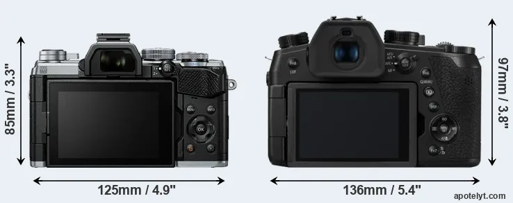 Comparison E-M5 III or FZ1000 II rear