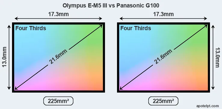Olympus E-M5 III and Panasonic G100 sensor measures