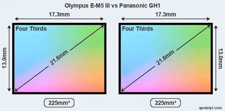 Olympus E-M5 III and Panasonic GH1 sensor measures