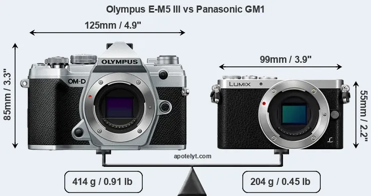 Size Olympus E-M5 III vs Panasonic GM1