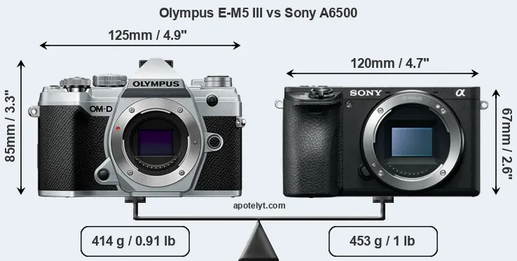 Size Olympus E-M5 III vs Sony A6500