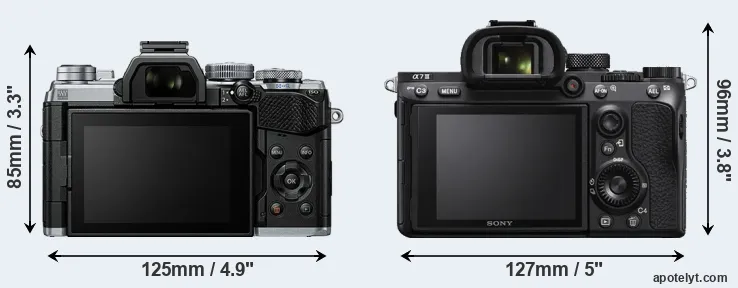 Comparison E-M5 III or A7 III rear
