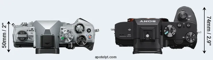 Compare E-M5 III versus A7 III top