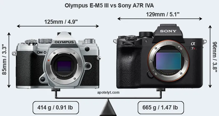 Size Olympus E-M5 III vs Sony A7R IVA