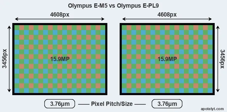 E-M5 versus E-PL9 MP
