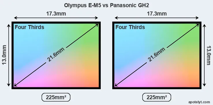 Olympus E-M5 and Panasonic GH2 sensor measures