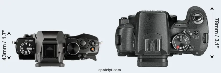Compare E-M5 versus L10 top