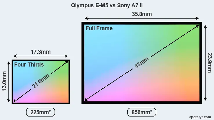 Olympus E-M5 and Sony A7 II sensor measures
