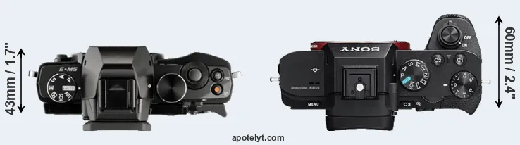Compare E-M5 versus A7 II top