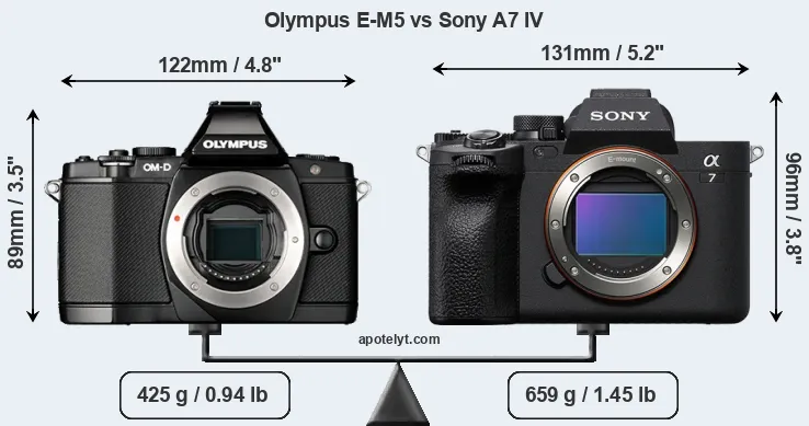 Size Olympus E-M5 vs Sony A7 IV