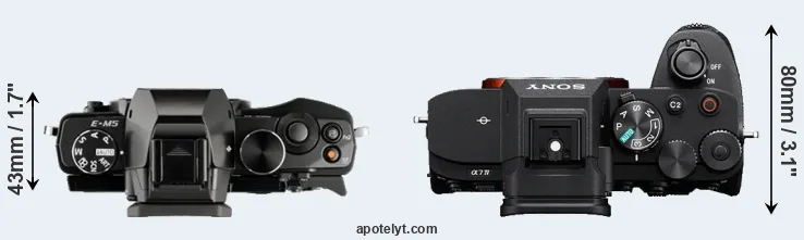 Compare E-M5 versus A7 IV top