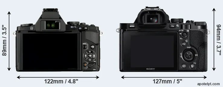 Comparison E-M5 or A7 rear