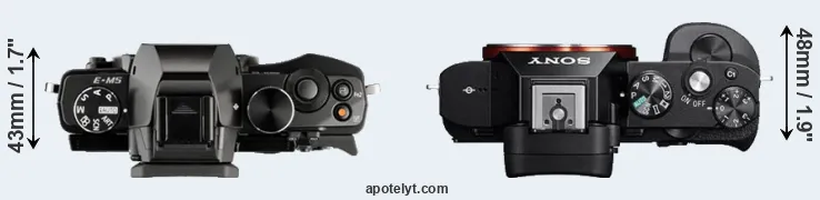 Compare E-M5 versus A7 top