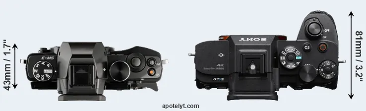 Compare E-M5 versus A7S III top