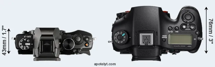 Compare E-M5 versus A99 II top