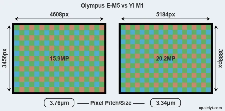 E-M5 versus M1 MP