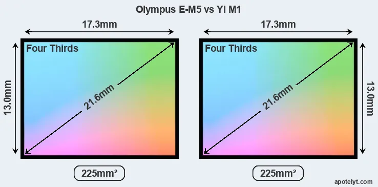 Olympus E-M5 and YI M1 sensor measures