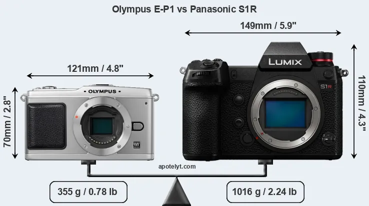 Size Olympus E-P1 vs Panasonic S1R