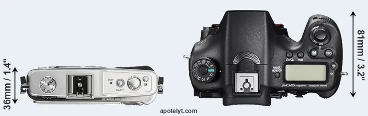 Compare E-P1 versus A77 II top