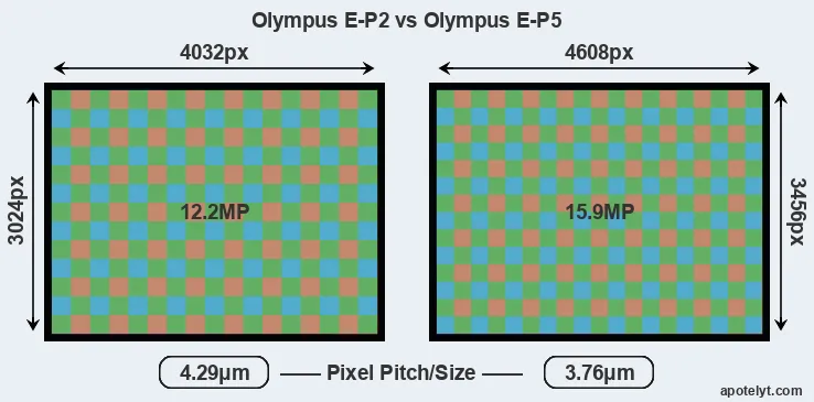 E-P2 versus E-P5 MP