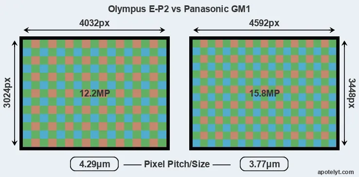 E-P2 versus GM1 MP