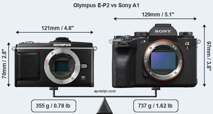 Size Olympus E-P2 vs Sony A1