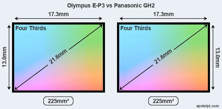Olympus E-P3 and Panasonic GH2 sensor measures