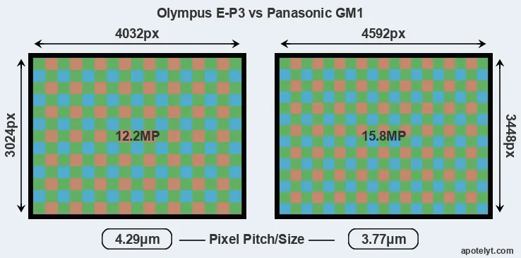 E-P3 versus GM1 MP