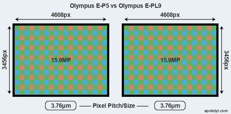E-P5 versus E-PL9 MP