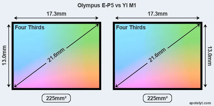 Olympus E-P5 and YI M1 sensor measures