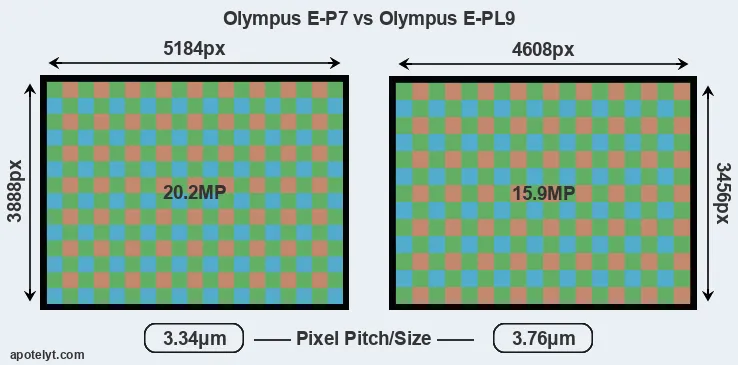 E-P7 versus E-PL9 MP