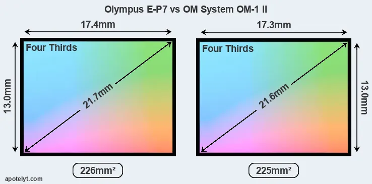 Olympus E-P7 and OM System OM-1 II sensor measures
