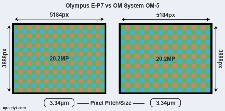 E-P7 versus OM-5 MP