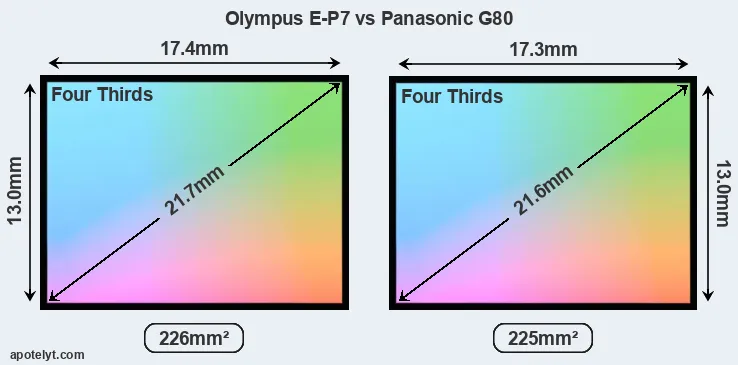 Olympus E-P7 and Panasonic G80 sensor measures
