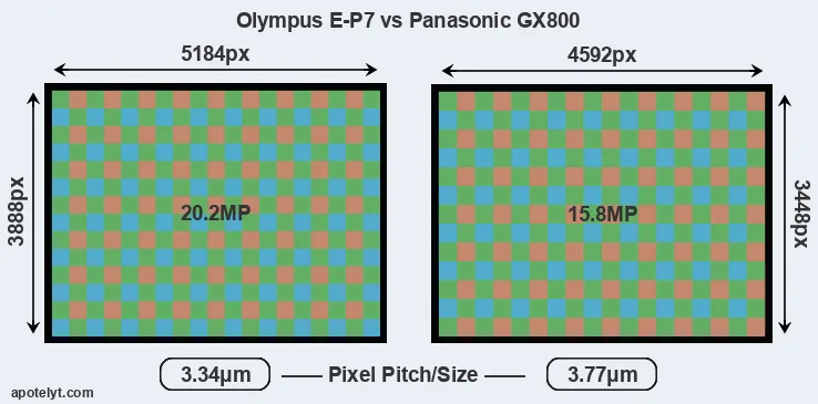 E-P7 versus GX800 MP