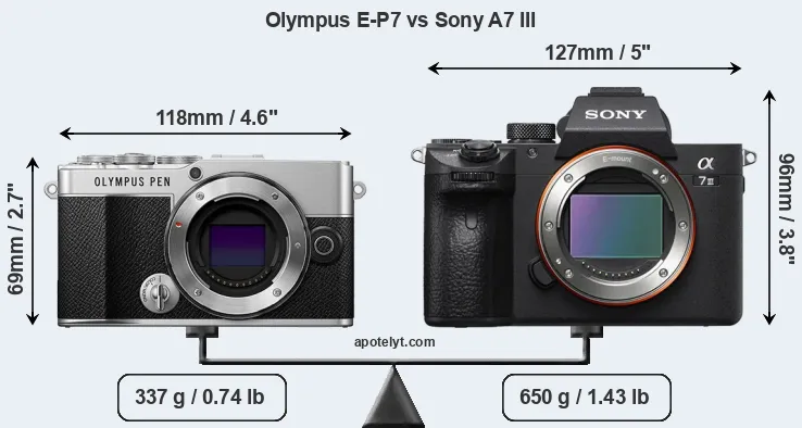 Size Olympus E-P7 vs Sony A7 III