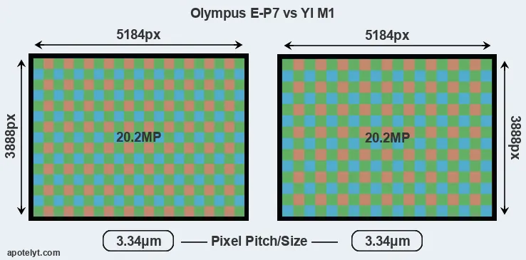 E-P7 versus M1 MP