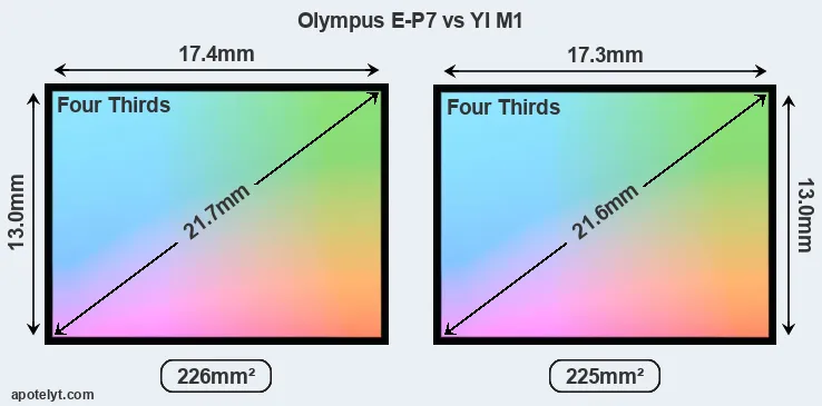Olympus E-P7 and YI M1 sensor measures