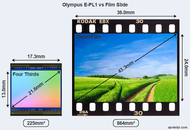 Olympus E-PL1 and Credit Card sensor measures