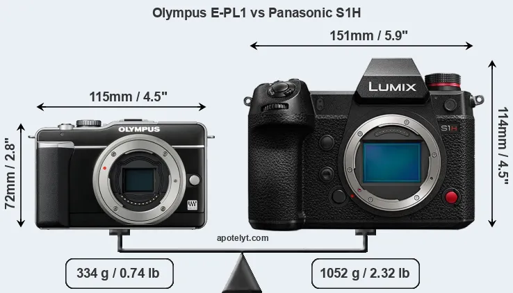 Size Olympus E-PL1 vs Panasonic S1H