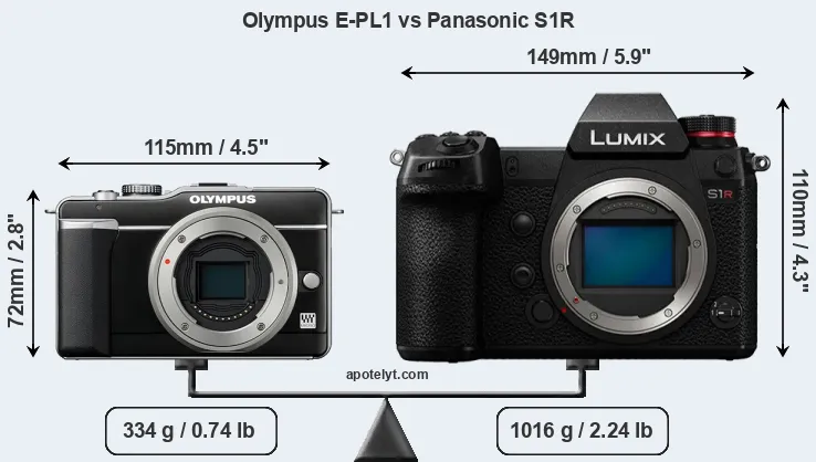 Size Olympus E-PL1 vs Panasonic S1R
