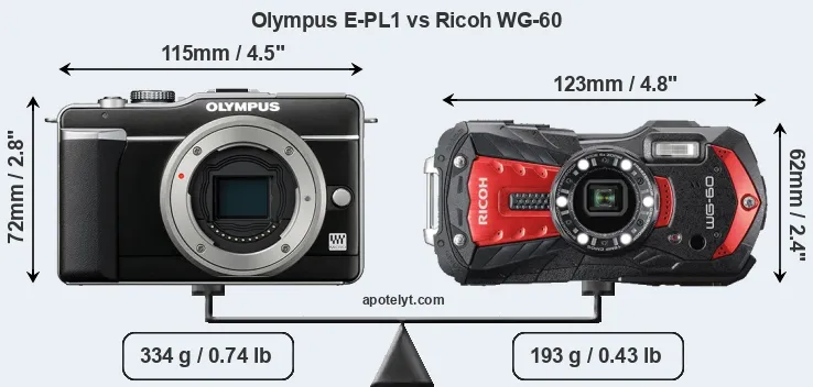 Size Olympus E-PL1 vs Ricoh WG-60
