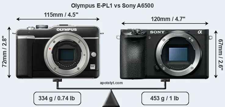 Size Olympus E-PL1 vs Sony A6500