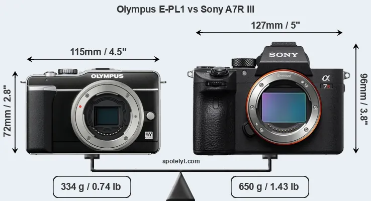 Size Olympus E-PL1 vs Sony A7R III
