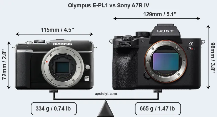 Size Olympus E-PL1 vs Sony A7R IV