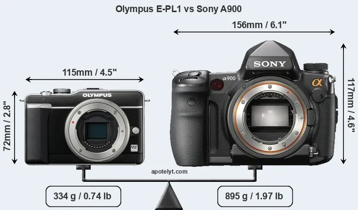 Size Olympus E-PL1 vs Sony A900