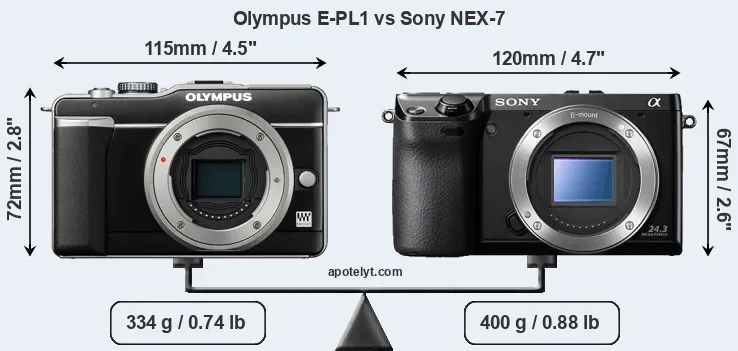 Size Olympus E-PL1 vs Sony NEX-7