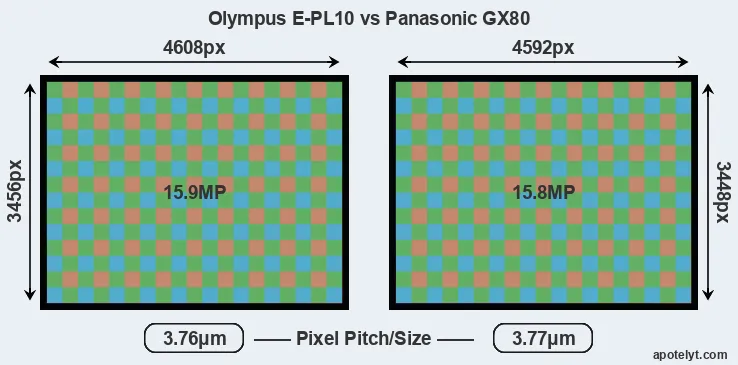 E-PL10 versus GX80 MP